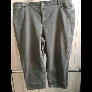 J.Jill Authentic Fit cropped green moss denim pants